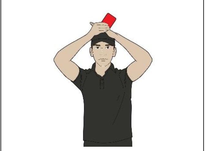 Example referee signal